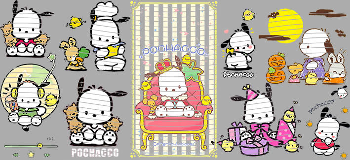 16oz Sanrio-SO-1011